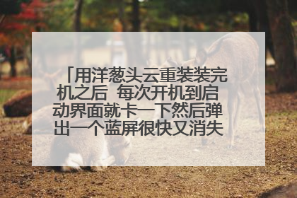 用洋葱头云重装装完机之后 每次开机到启动界面就卡一下然后弹出一个蓝屏很快又消失,又重新开机,重复