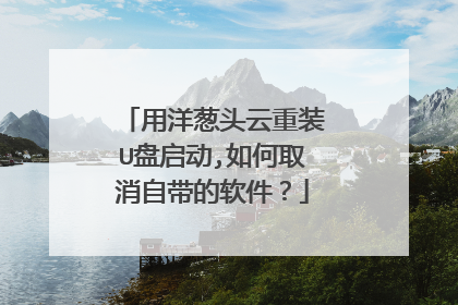 用洋葱头云重装U盘启动,如何取消自带的软件？