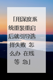 用深度系统重装重启后就引导选择失败 怎么办 在线等 急