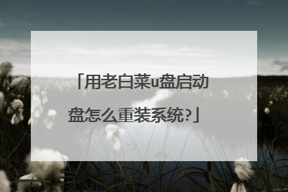 用老白菜u盘启动盘怎么重装系统?