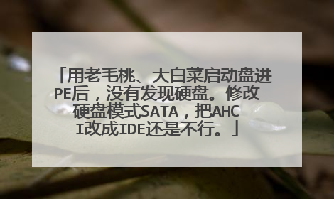 用老毛桃、大白菜启动盘进PE后，没有发现硬盘。修改硬盘模式SATA，把AHCI改成IDE还是不行。