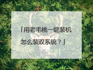 用老毛桃一键装机怎么装双系统?