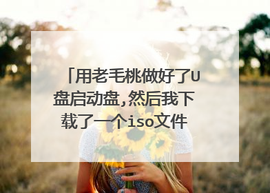 用老毛桃做好了U盘启动盘,然后我下载了一个iso文件,解压没有.goh文件怎么办