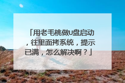 用老毛桃做U盘启动,往里面拷系统,提示已满,怎么解决啊?