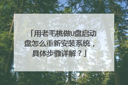 用老毛桃做U盘启动盘怎么重新安装系统,具体步骤详解?