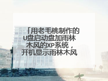 用老毛桃制作的U盘启动盘加雨林木风的XP系统，开机显示雨林木风，但是进不了PE系统，找不到主机的硬盘？