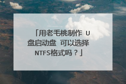 用老毛桃制作 U盘启动盘 可以选择NTFS格式吗？