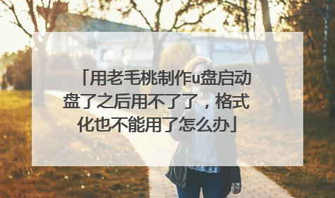 用老毛桃制作u盘启动盘了之后用不了了,格式化也不能用了怎么办