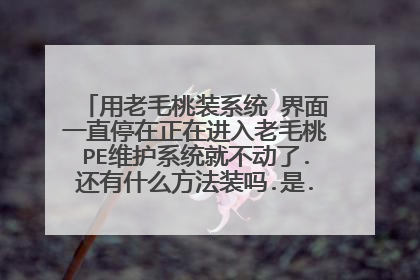 用老毛桃装系统 界面一直停在正在进入老毛桃PE维护系统就不动了.还有什么方法装吗.是.GHO的文件