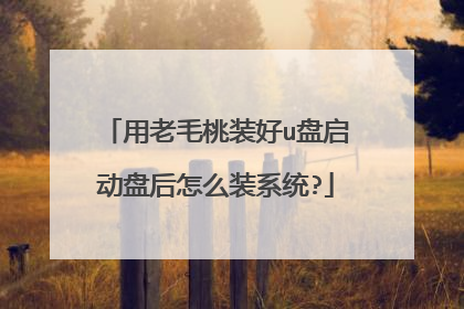 用老毛桃装好u盘启动盘后怎么装系统?