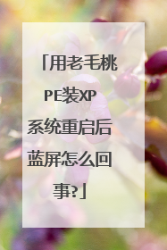 用老毛桃PE装XP系统重启后蓝屏怎么回事?