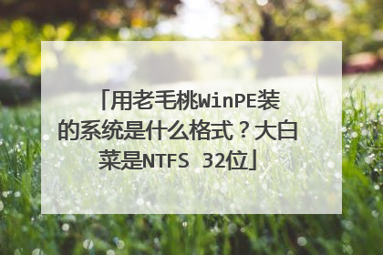用老毛桃WinPE装的系统是什么格式？大白菜是NTFS 32位