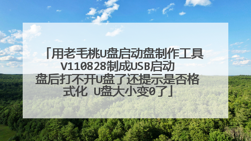 用老毛桃U盘启动盘制作工具V110828制成USB启动盘后打不开U盘了还提示是否格式化 U盘大小变0了