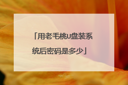 用老毛桃U盘装系统后密码是多少
