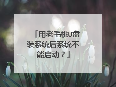 用老毛桃U盘装系统后系统不能启动？