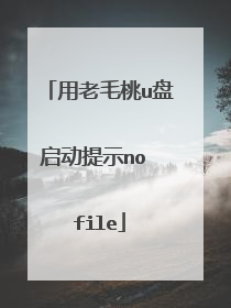 用老毛桃u盘启动提示no file