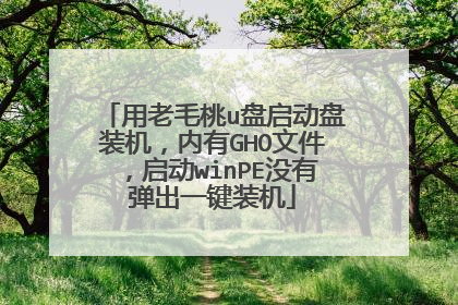 用老毛桃u盘启动盘装机,内有GHO文件,启动winPE没有弹出一键装机