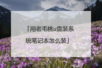 用老毛桃u盘装系统笔记本怎么装