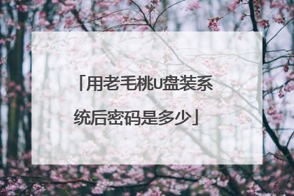 用老毛桃U盘装系统后密码是多少