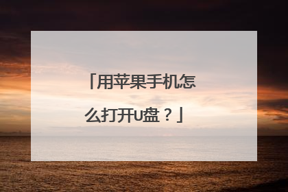 用苹果手机怎么打开U盘?