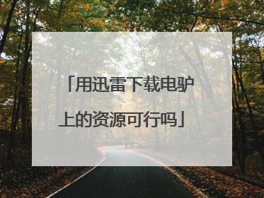 用迅雷下载电驴上的资源可行吗