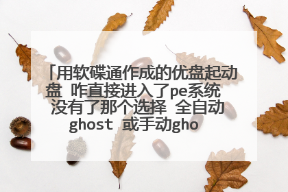 用软碟通作成的优盘起动盘 咋直接进入了pe系统 没有了那个选择 全自动ghost 或手动ghost的界面了?