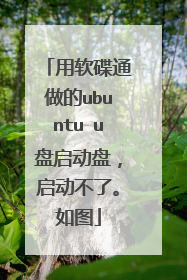 用软碟通做的ubuntu u盘启动盘，启动不了。如图