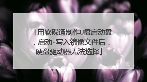 用软碟通制作U盘启动盘，启动-写入镜像文件后，硬盘驱动器无法选择