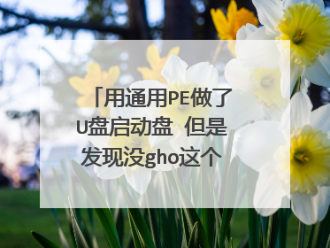 用通用PE做了U盘启动盘 但是发现没gho这个文件夹呀？ 系统映像装哪里？