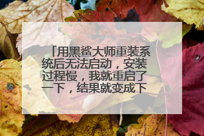 用黑鲨大师重装系统后无法启动,安装过程慢,我就重启了一下,结果就变成下面这样,怎么办呀