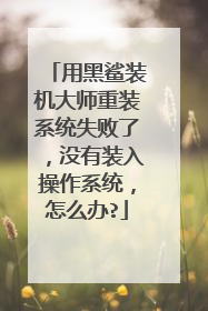 用黑鲨装机大师重装系统失败了,没有装入操作系统,怎么办?