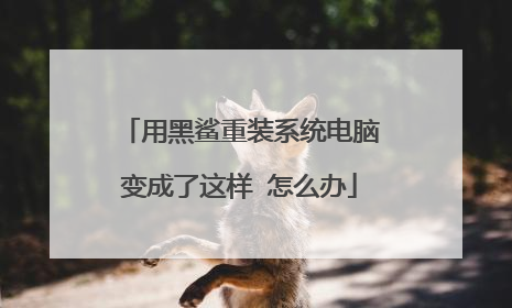 用黑鲨重装系统电脑变成了这样 怎么办