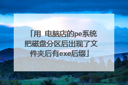 用 电脑店的pe系统 把磁盘分区后出现了文件夹后有exe后缀