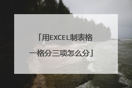 用EXCEL制表格一格分三项怎么分