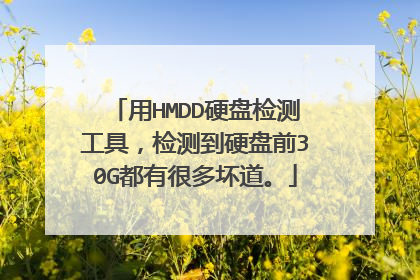 用HMDD硬盘检测工具,检测到硬盘前30G都有很多坏道。