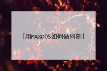 用MAXDOS如何做网刻