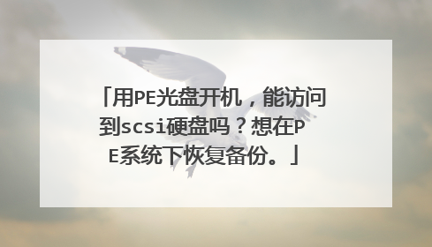 用PE光盘开机,能访问到scsi硬盘吗?想在PE系统下恢复备份。