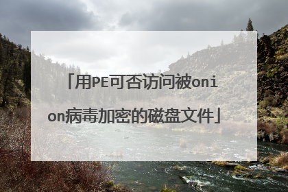 用PE可否访问被onion病毒加密的磁盘文件