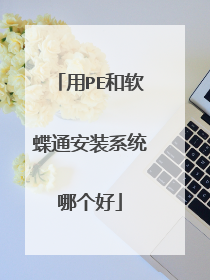 用PE和软蝶通安装系统哪个好