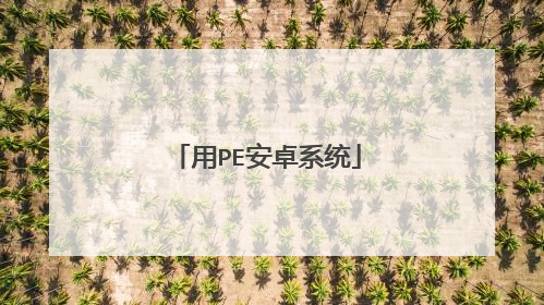 用PE安卓系统