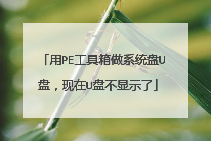 用PE工具箱做系统盘U盘,现在U盘不显示了
