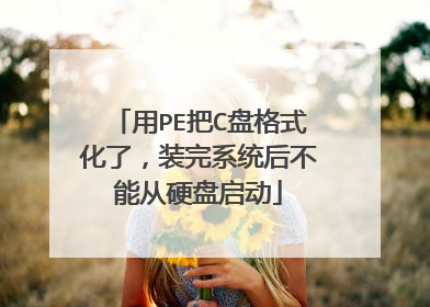 用PE把C盘格式化了,装完系统后不能从硬盘启动