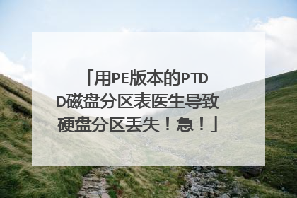 用PE版本的PTDD磁盘分区表医生导致硬盘分区丢失!急!