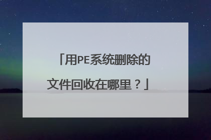 用PE系统删除的文件回收在哪里?