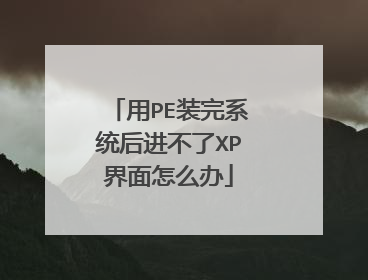 用PE装完系统后进不了XP界面怎么办