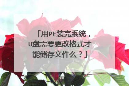 用PE装完系统，U盘需要更改格式才能储存文件么？