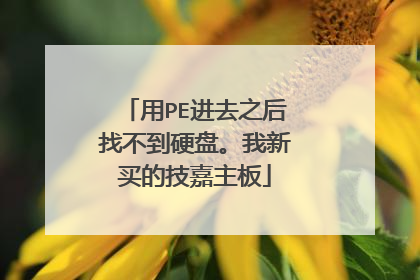 用PE进去之后找不到硬盘。我新买的技嘉主板