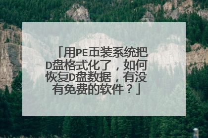 用PE重装系统把D盘格式化了，如何恢复D盘数据，有没有免费的软件？