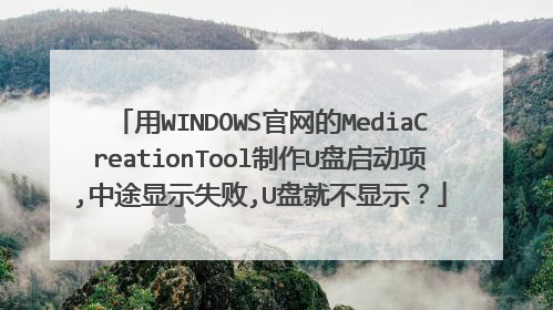 用WINDOWS官网的MediaCreationTool制作U盘启动项,中途显示失败,U盘就不显示？