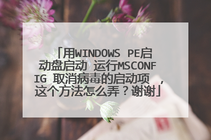 用WINDOWS PE启动盘启动 运行MSCONFIG 取消病毒的启动项 ，这个方法怎么弄？谢谢